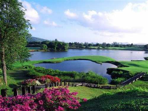 westone am pro: свободу музыкантам