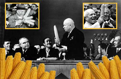 кукурузная мука: необычные способы ее применения