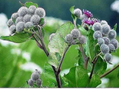 силой воли вырвись из неволи