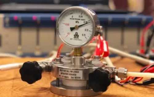 кот, который обожает сугробы порция позитива вам обеспечена