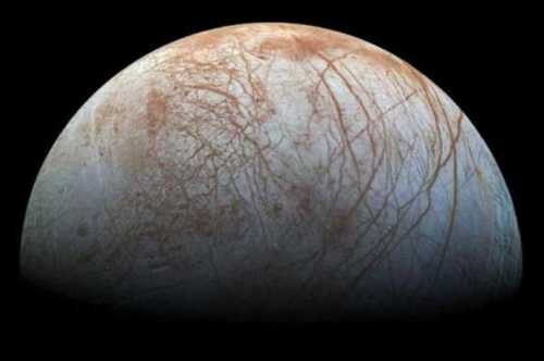 мама, у нас все хорошо: вот что происходит дома, когда мать уезжает в командировку