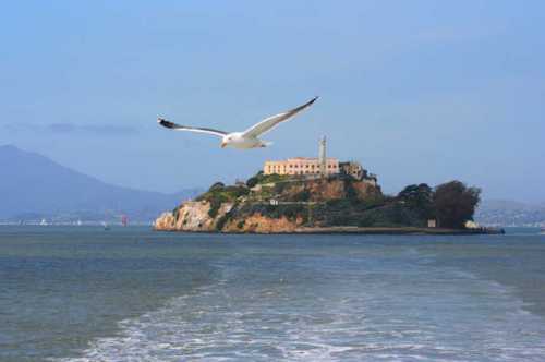 аэропорт, дрон и 5 лет тюрьмы за красивую фотографию