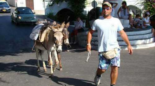 7 фактов о стрелецком бунте