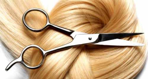 жадность это плохо: про бизнес в интернете