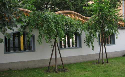 куда поехать отдыхать в январе на море недорого сезон 2019