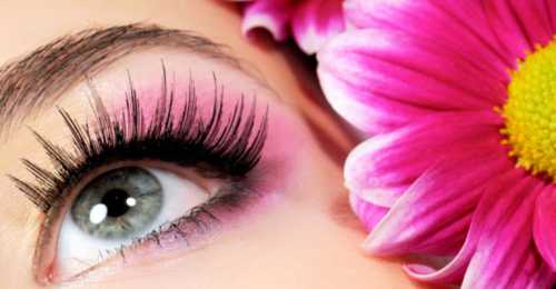 стабильная посещаемость интернет площадки ключ к успеху и прибыли