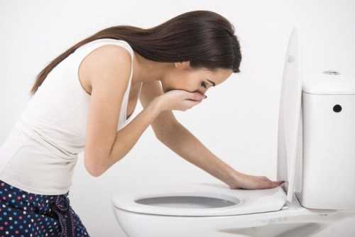 хозяйственный кот серёга