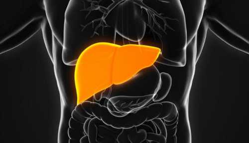 что такое срочный займ