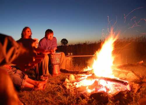разведение коз как бизнес в домашних условиях для начинающих: с чего начать и как преуспеть