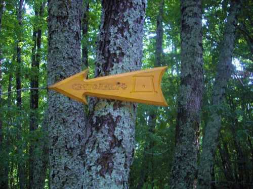 ультрамотивация: как найти свою морковку: