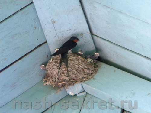 путь на байкал: сколько времени и денег потребуется, чтобы добраться из москвы самолетом или поездом