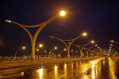 кот с помойки принес нам в дом 100 баксов на свое содержание