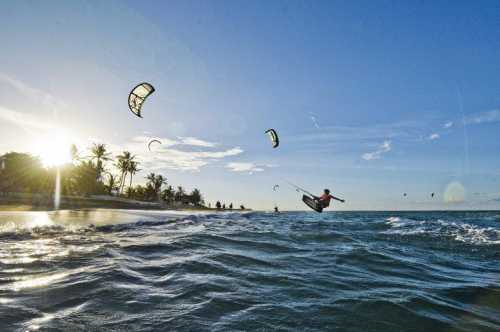 парень решил заговорить с птицей, но даже не подозревал, что у них завяжется диалог смех да и только