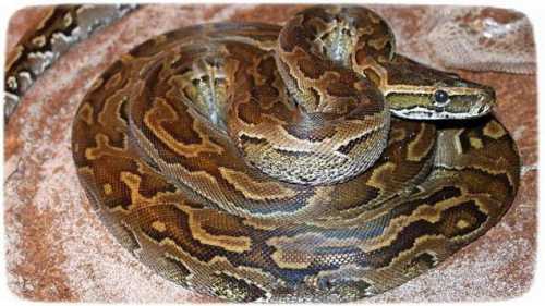 самые выгодные промокоды на смартфоны самые выгодные промокоды на смартфоны