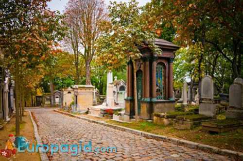 как добраться из аэропорта адлер в сочи до эсто