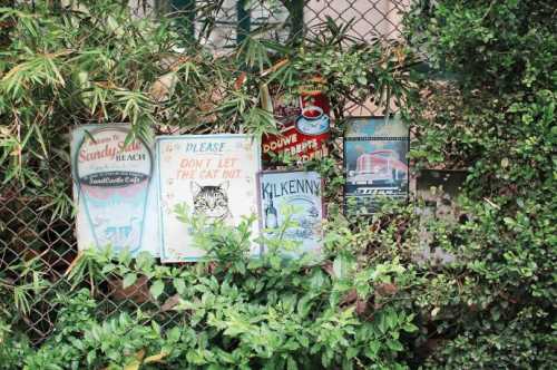 книжный форум во львове: новый бегбедер и ночь с андруховичем