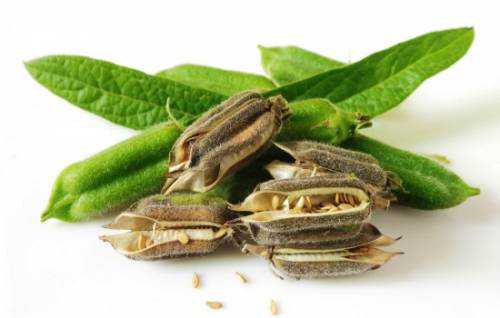 графика в печатной рекламе: за или против