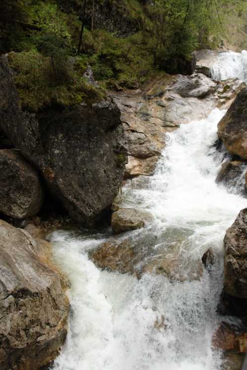 свое собственное дело